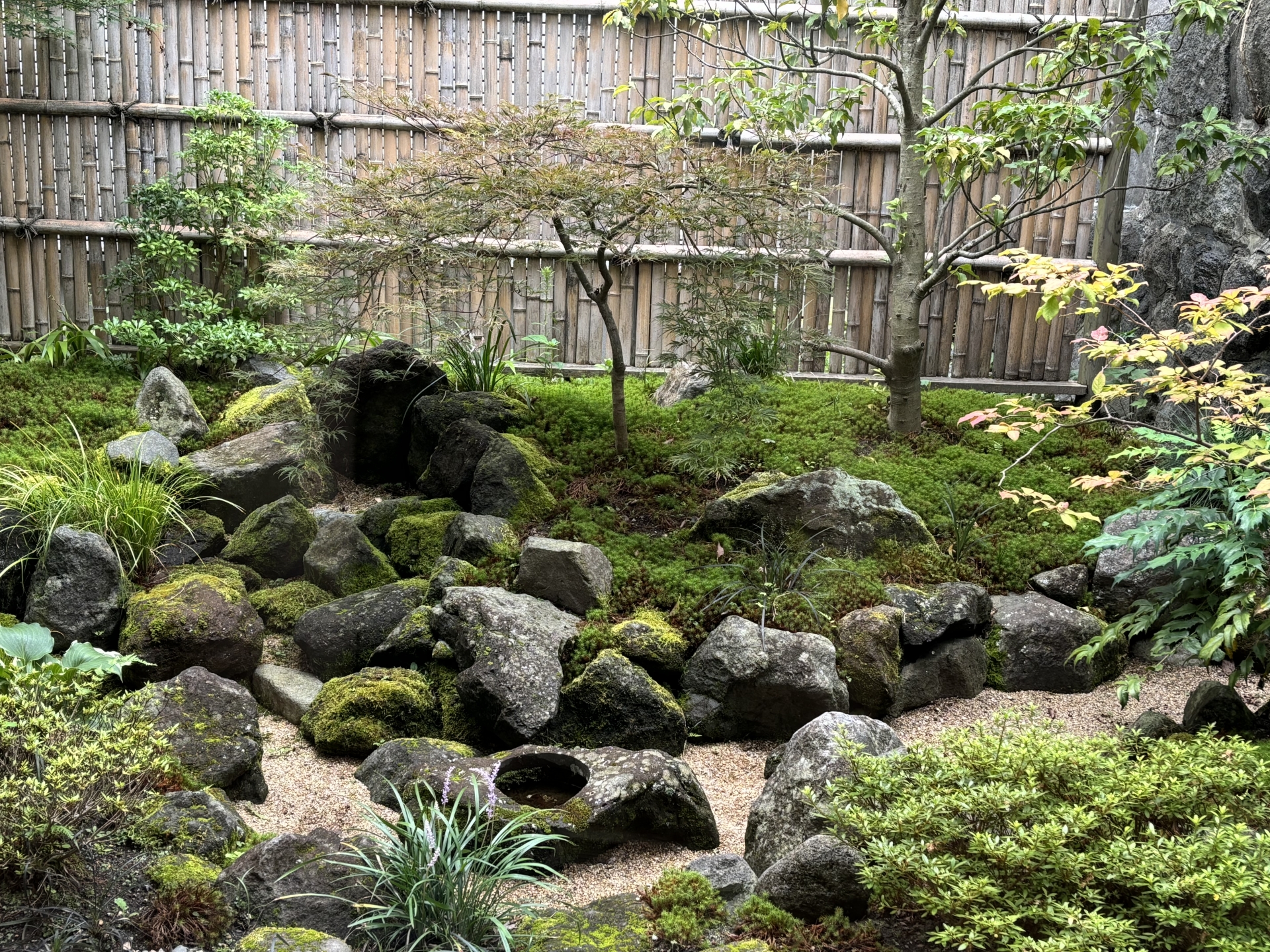 みんなの植木屋さん、千葉、剪定、伐採、抜根、草刈り、草取り、お任せください